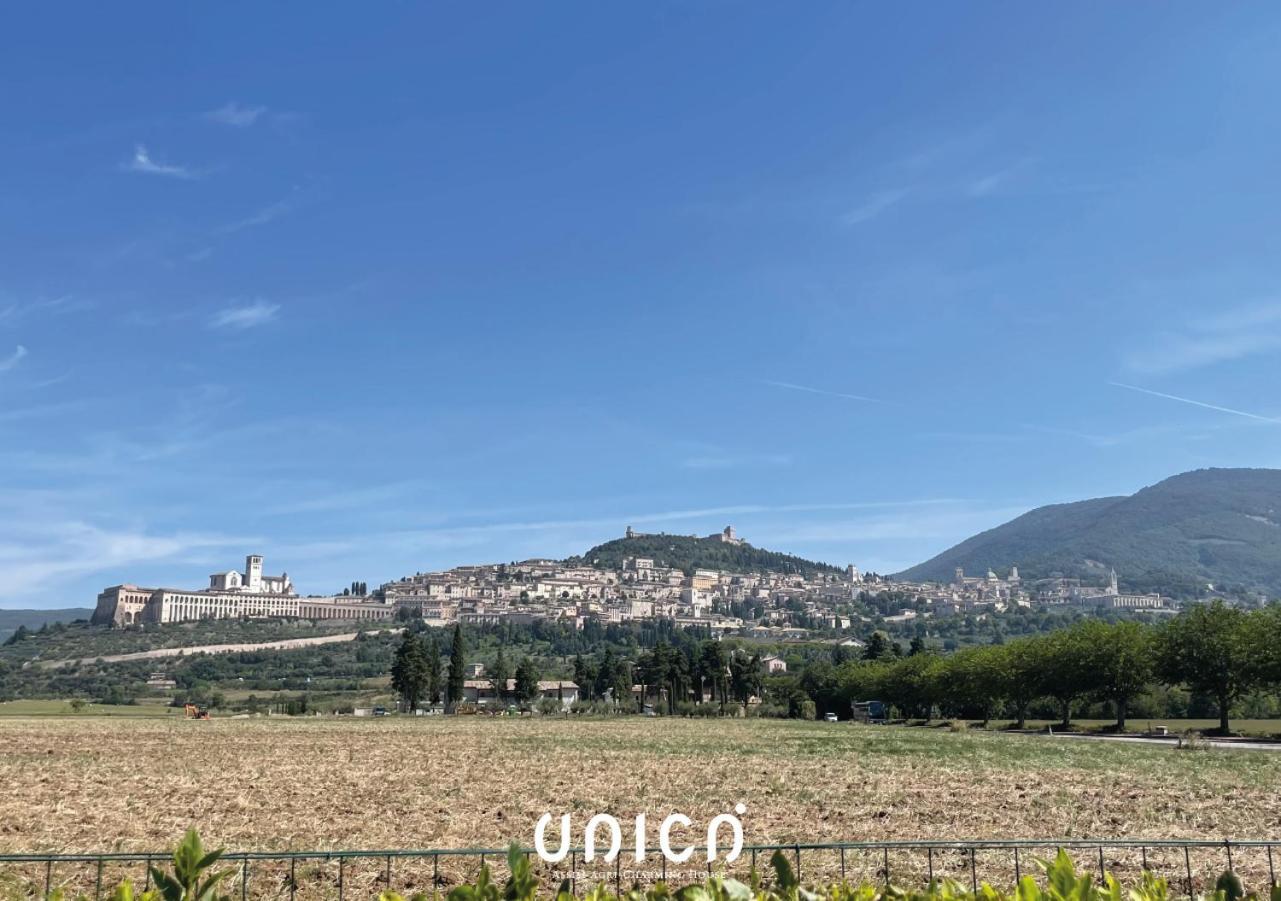 Unica Assisi Agri-Charming House Bed and Breakfast Εξωτερικό φωτογραφία